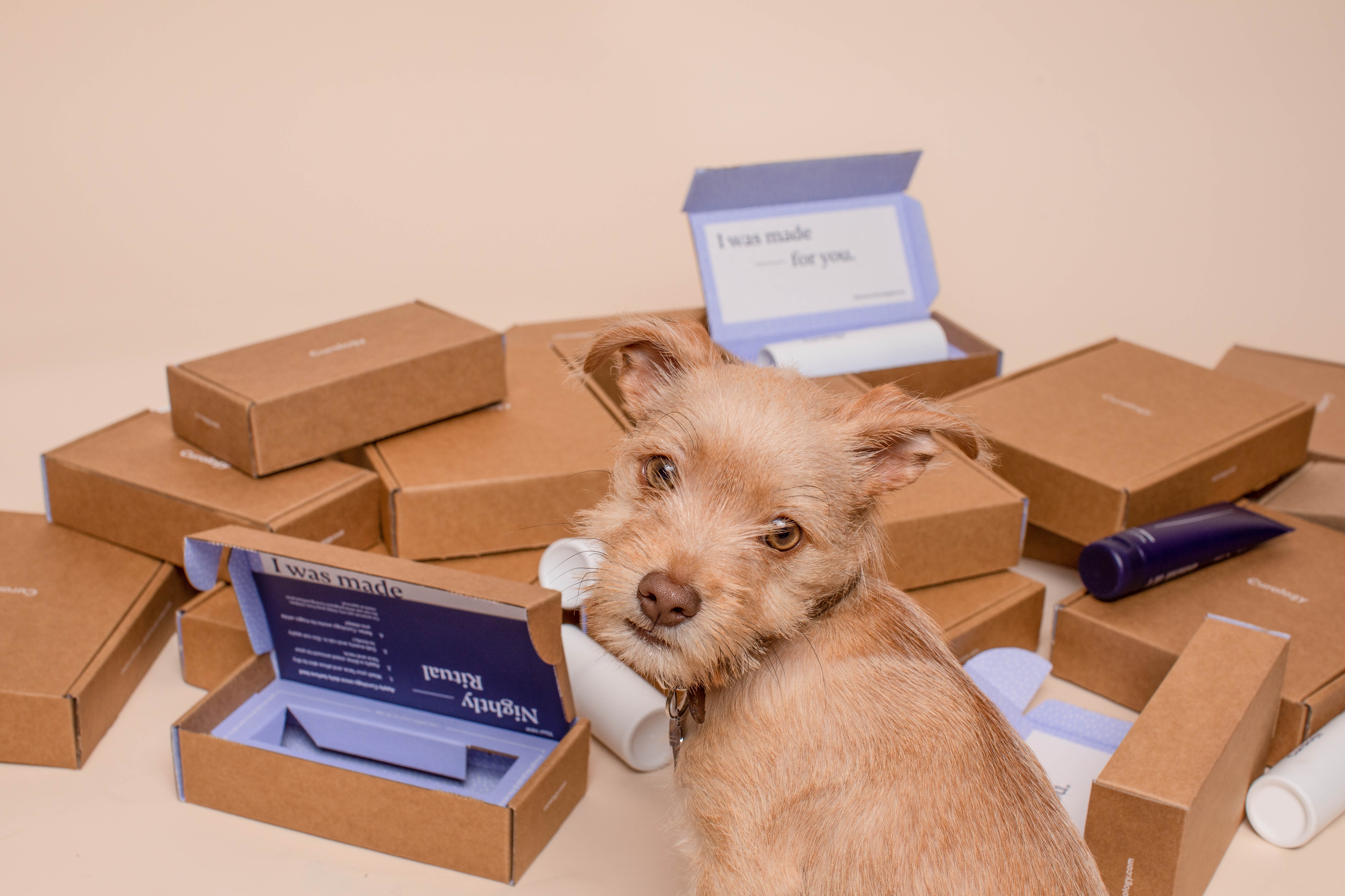 ecommerce returns and retail rerturns