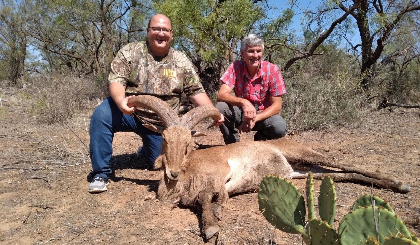 image column 2 module_16219750975004