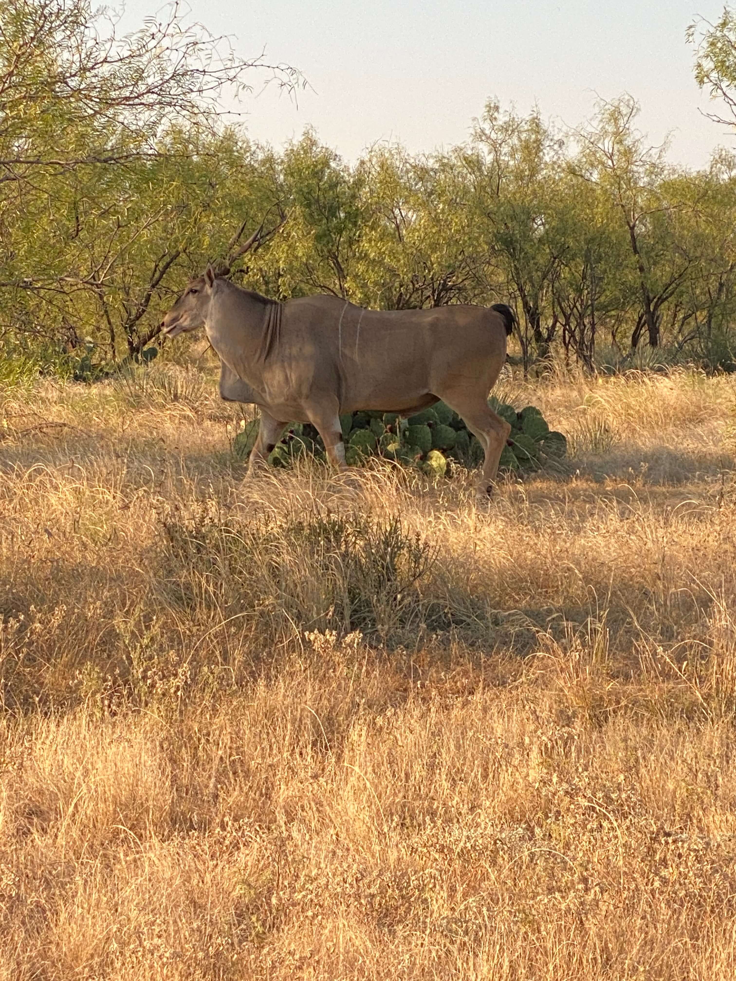 image column 4 module_1599068471818