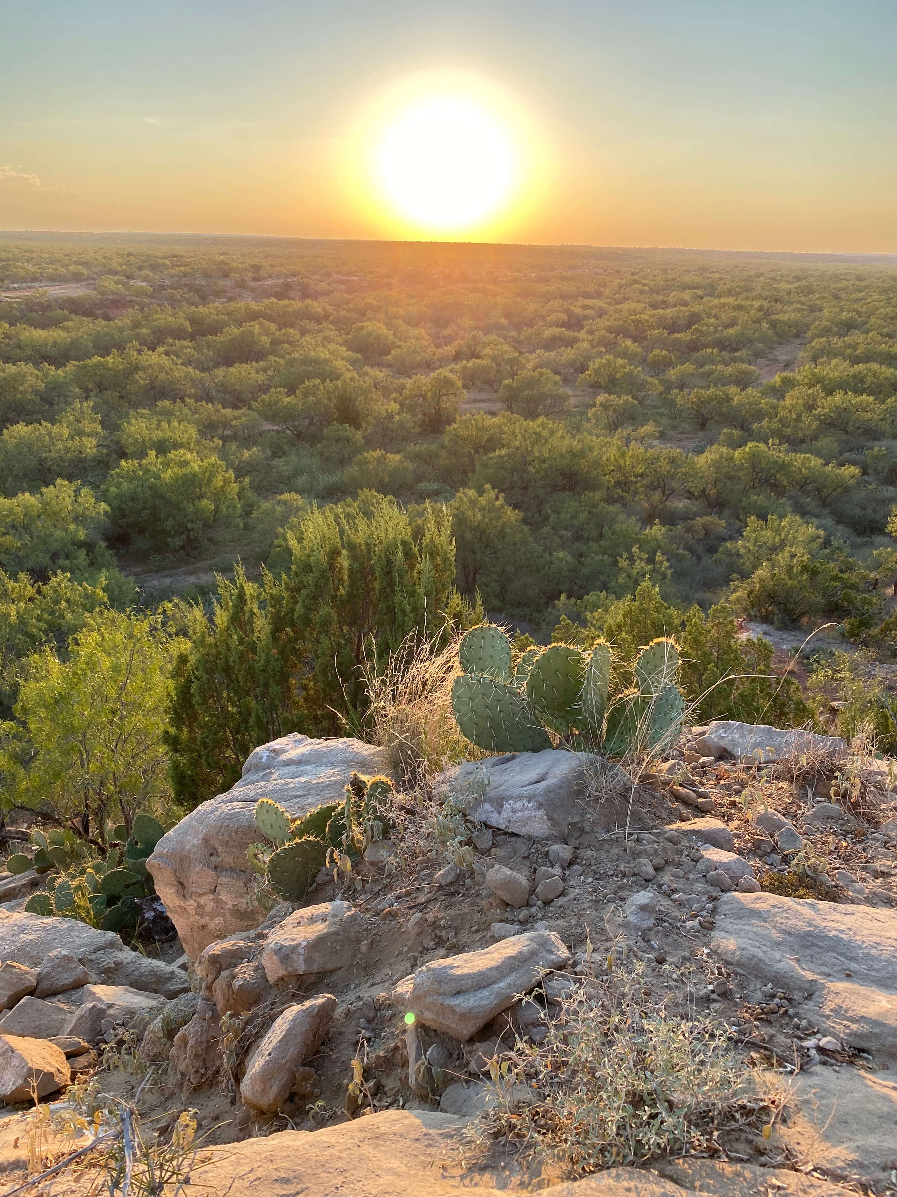 image column 2 module_1599068471818