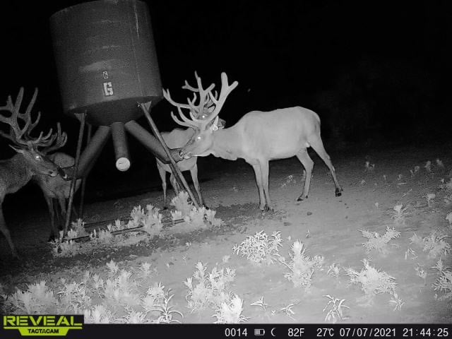 image column 1 widget_1625770934494