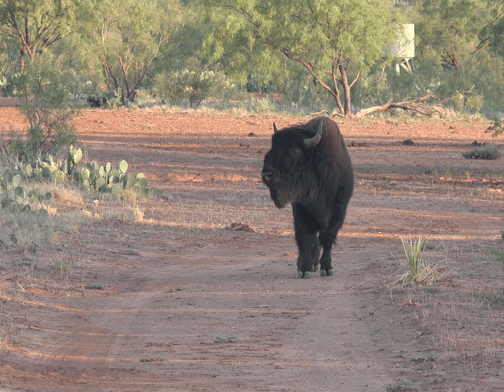 image column 4 module_1599071582049