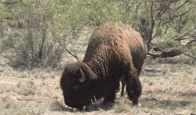 image column 4 widget_1599068194939