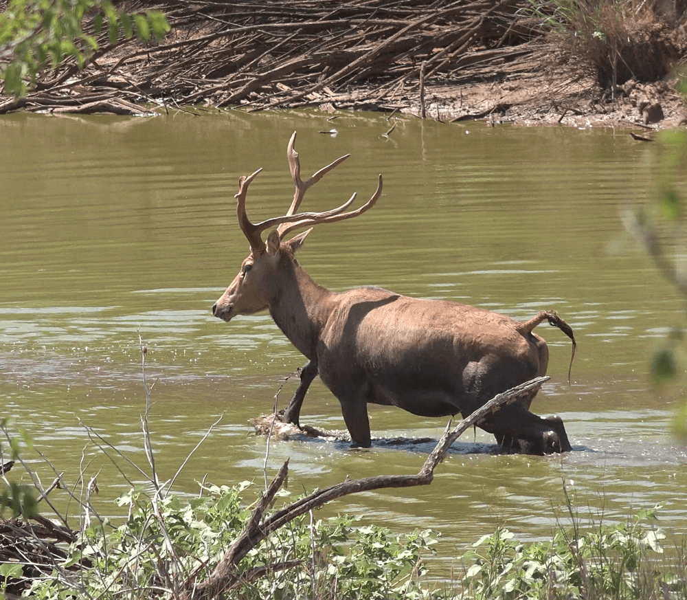 image column 3 module_16219750975004