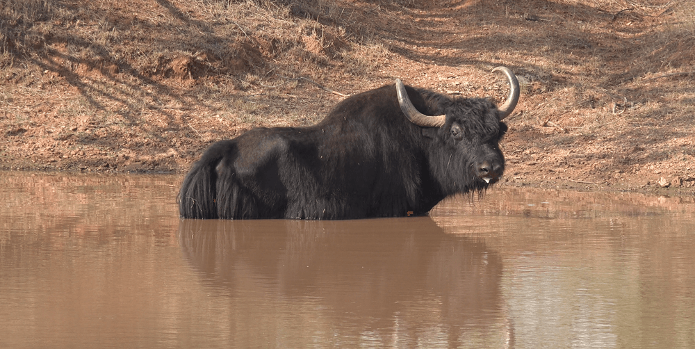 image column 1 module_16219750975004