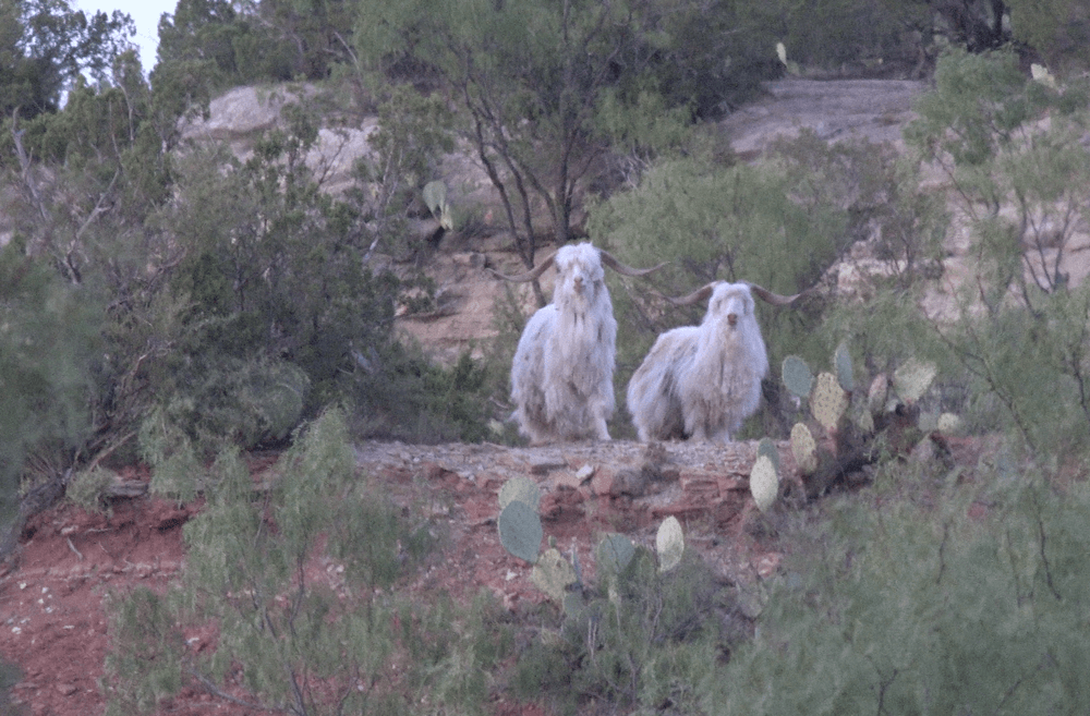 image column 2 module_1599071582049