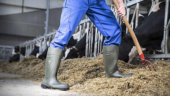 Looking for rubber farming boots with a steel toe?