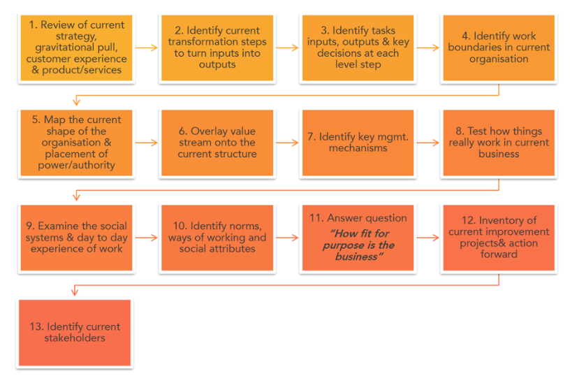 business organization design