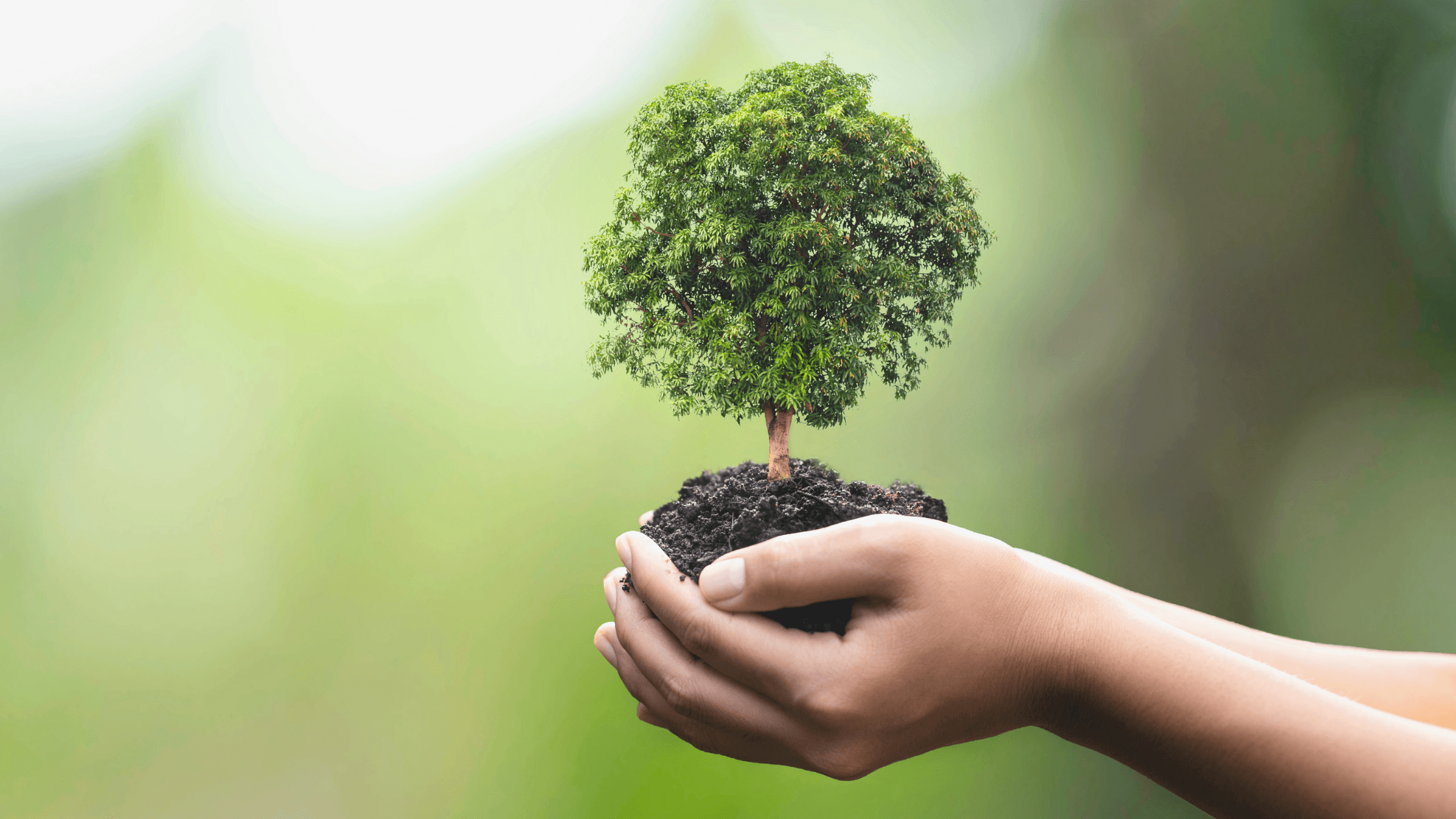 biodiversidade, meio ambiente, documentário meio ambiente