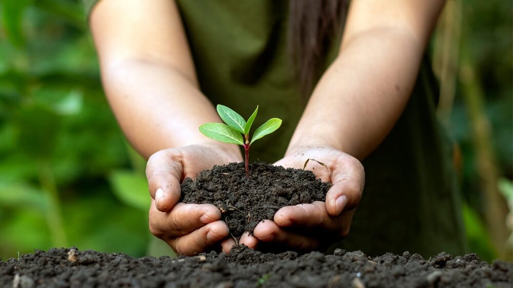 empreendedorismo, empreendedorismo sustentável, meio ambiente, sustentabilidade